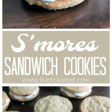 Chocolate chip cookie sandwich with creamy filling between two cookies