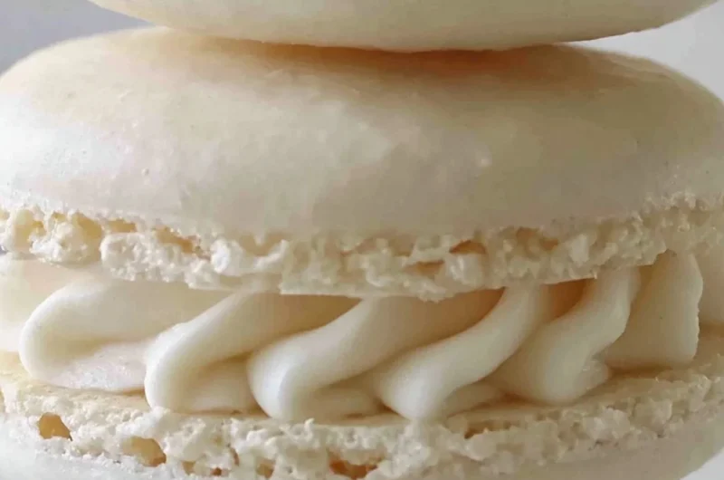 Aquafaba vegan macarons in various colors on a white plate