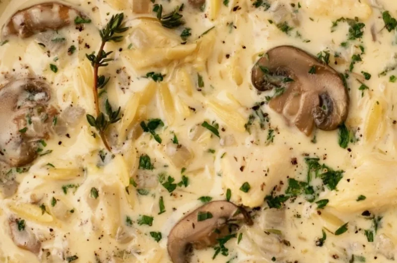 Creamy chicken soup with Boursin cheese in a bowl